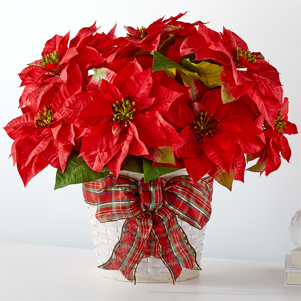 Happiest Holidays Poinsettia – Royalty Flowers, Alexandria VA