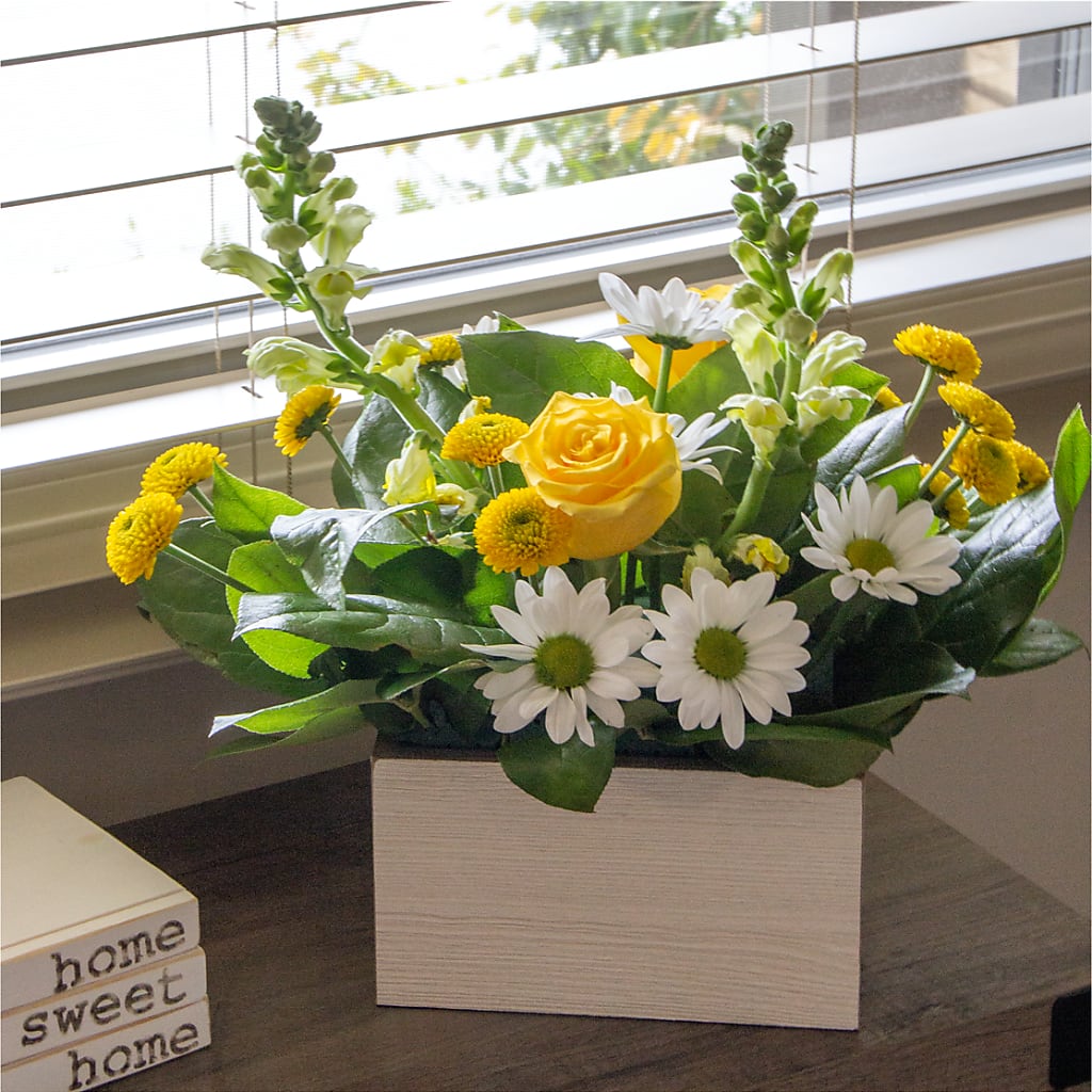 Sun Salutation Box Bouquet – Royalty Flowers, Alexandria VA