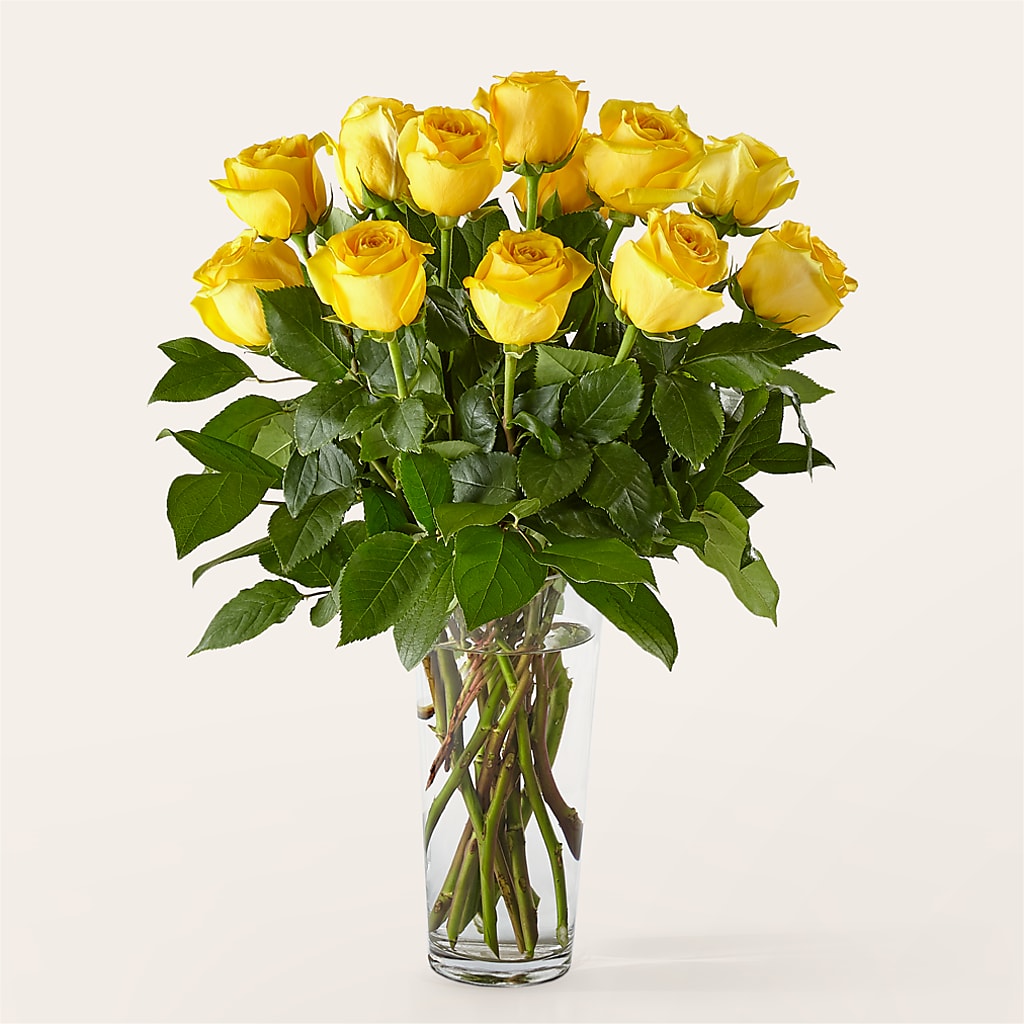 Long Stem Yellow Rose Bouquet – Royalty Flowers, Alexandria VA