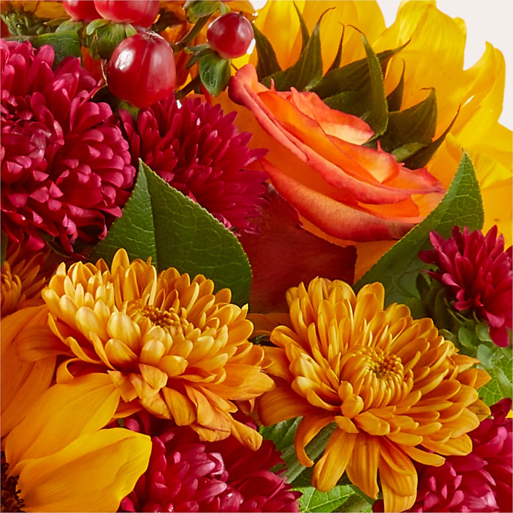 Sweater Season - A Florist Original – Royalty Flowers, Alexandria VA