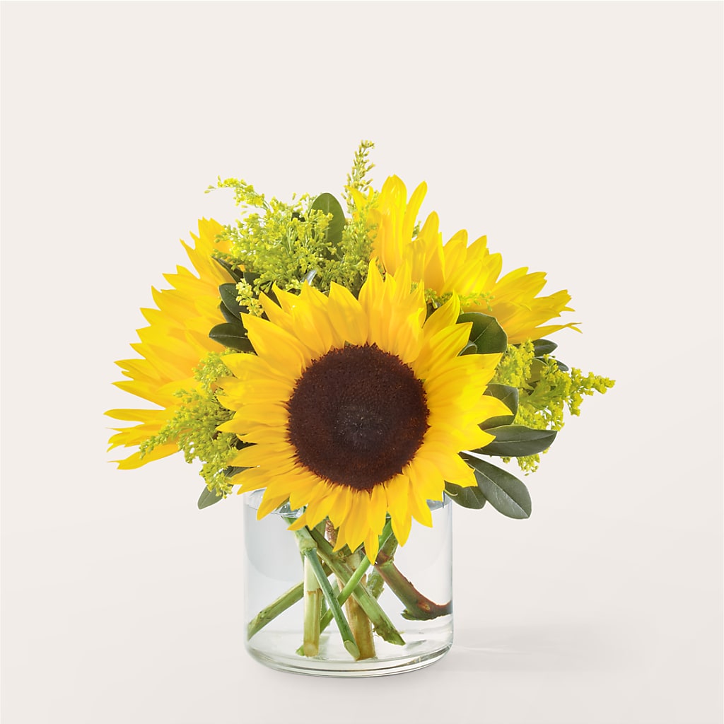 Beaming Sunflower Bouquet – Royalty Flowers, Alexandria VA