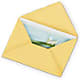 Greeting Card – Royalty Flowers, Alexandria VA