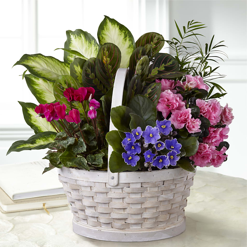 Peaceful Garden Planter – Royalty Flowers, Alexandria VA