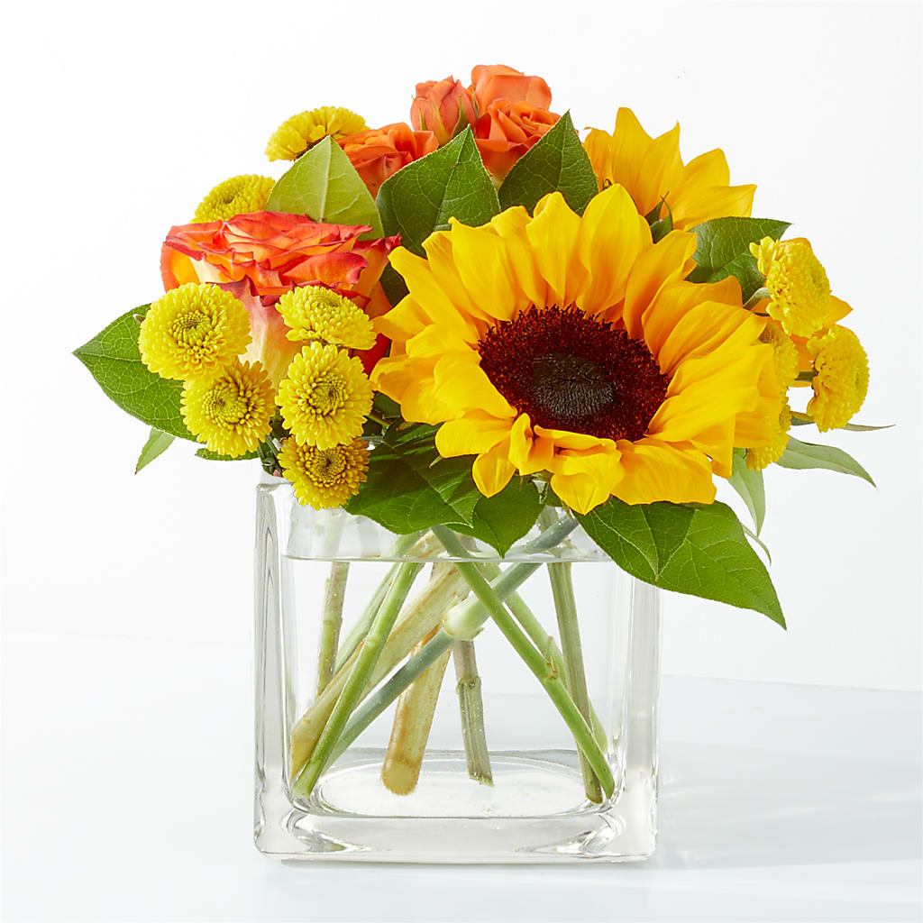 Picnic in the Park Bouquet – Royalty Flowers, Alexandria VA