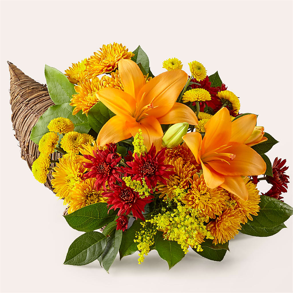 Feast of Color Cornucopia – Royalty Flowers, Alexandria VA