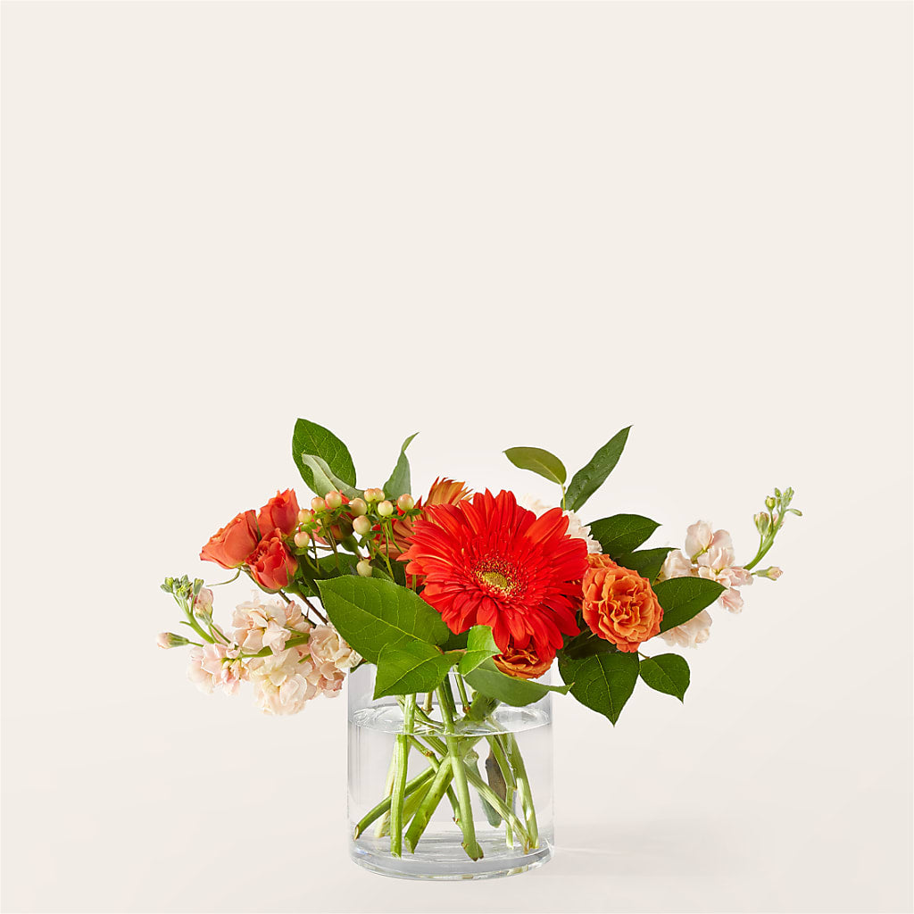 Paloma Please Bouquet – Royalty Flowers, Alexandria VA