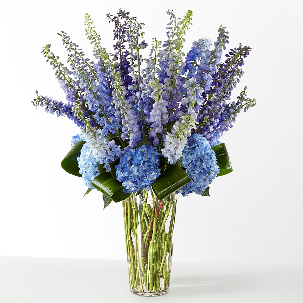 The Editorial – Royalty Flowers, Alexandria VA