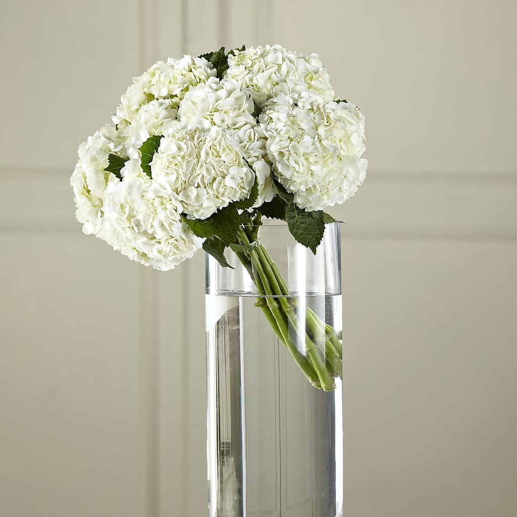 White Hydrangea Hand-Tied Bouquet – Royalty Flowers, Alexandria VA