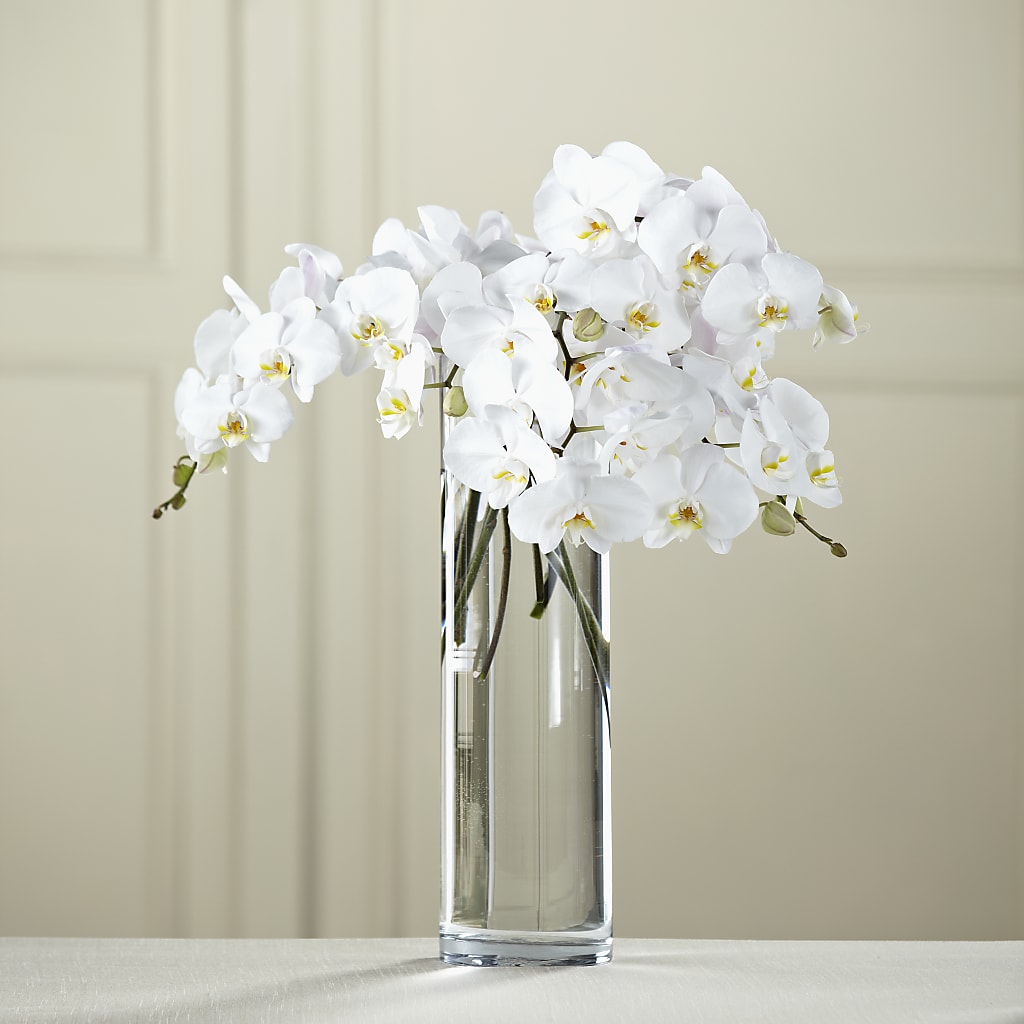 White Phalaenopsis Bouquet – Royalty Flowers, Alexandria VA