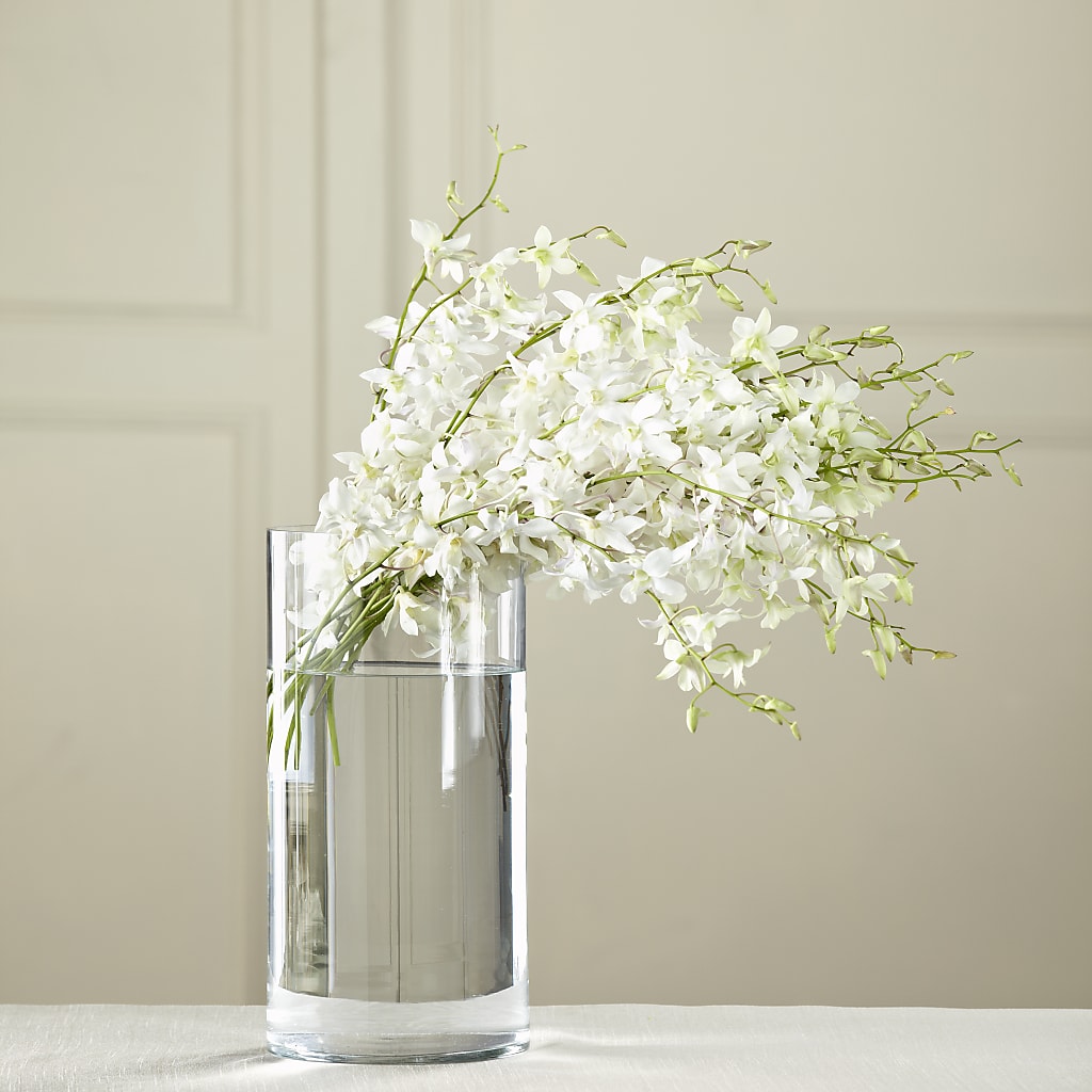 White Dendrobium Bouquet – Royalty Flowers, Alexandria VA