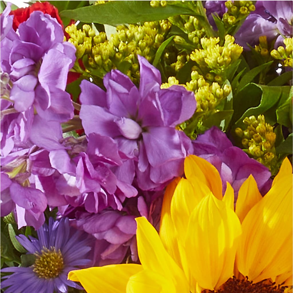 Celebrating You Bouquet –  Royalty Flowers, Alexandria VA