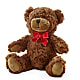 Adorable Plush Bear –  Royalty Flowers, Alexandria VA