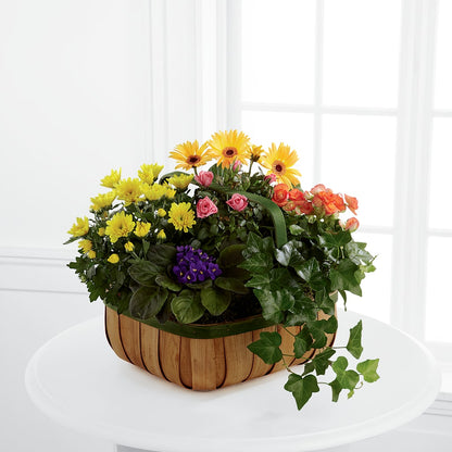 Gentle Blossoms Basket –  Royalty Flowers, Alexandria VA