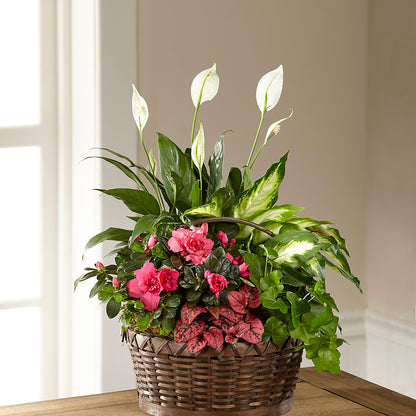 Dream in Pink Dishgarden –  Royalty Flowers, Alexandria VA