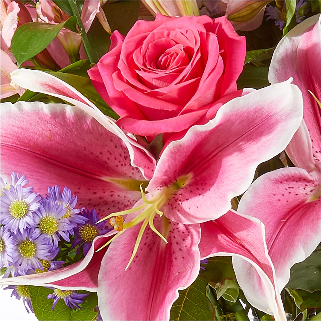 Written in the Stars Bouquet –  Royalty Flowers, Alexandria VA