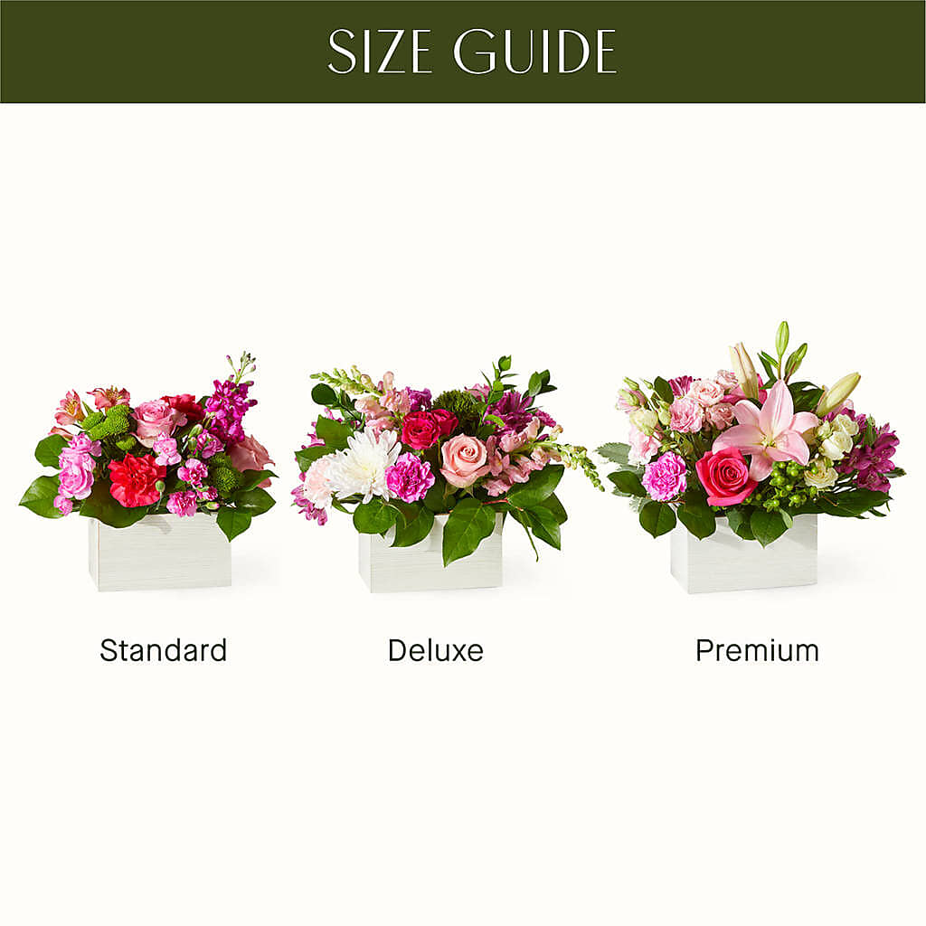 Sweetberry Box – A Florist Original –  Royalty Flowers, Alexandria VA