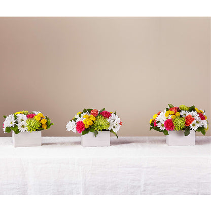 Sorbet Bouquet –  Royalty Flowers, Alexandria VA