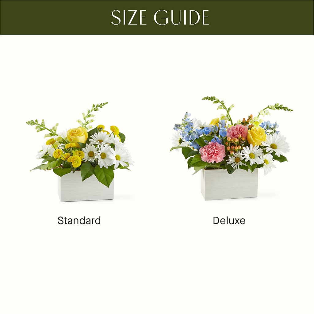 Sun Salutation Box Bouquet –  Royalty Flowers, Alexandria VA