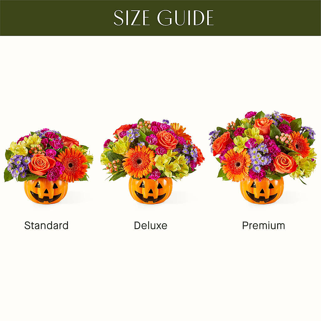 Tricks & Treats Pumpkin –  Royalty Flowers, Alexandria VA