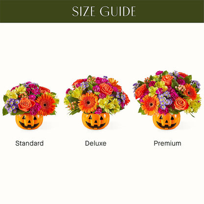 Tricks & Treats Pumpkin –  Royalty Flowers, Alexandria VA