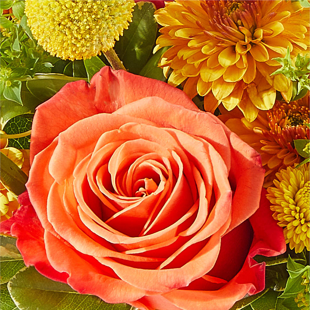 Gourdgeous Pumpkin –  Royalty Flowers, Alexandria VA