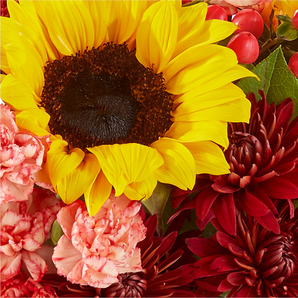 Fresh Cider Bouquet –  Royalty Flowers, Alexandria VA