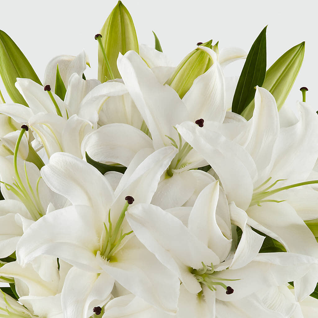 Faithful Blessings Bouquet –  Royalty Flowers, Alexandria VA