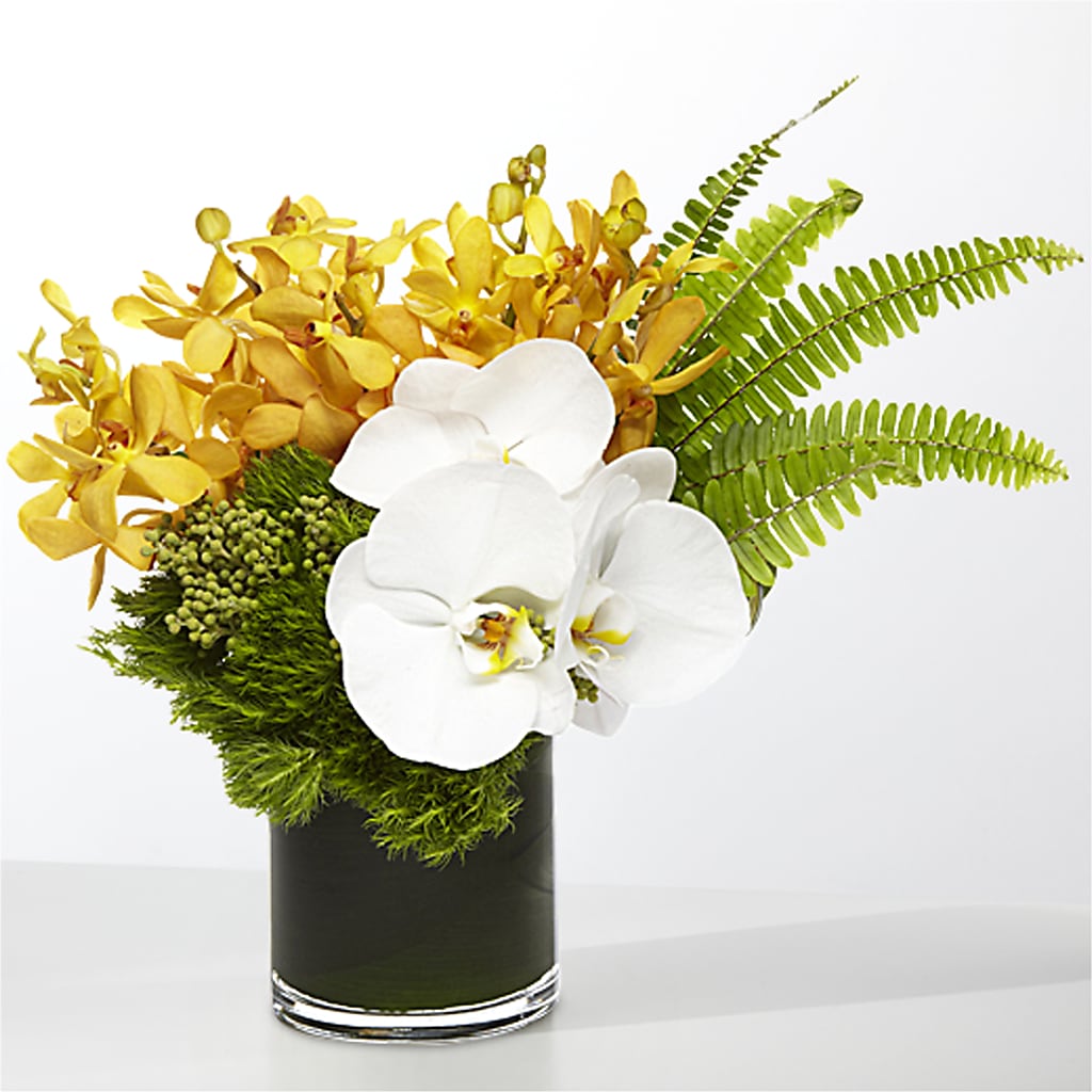 The Tropics –  Royalty Flowers, Alexandria VA