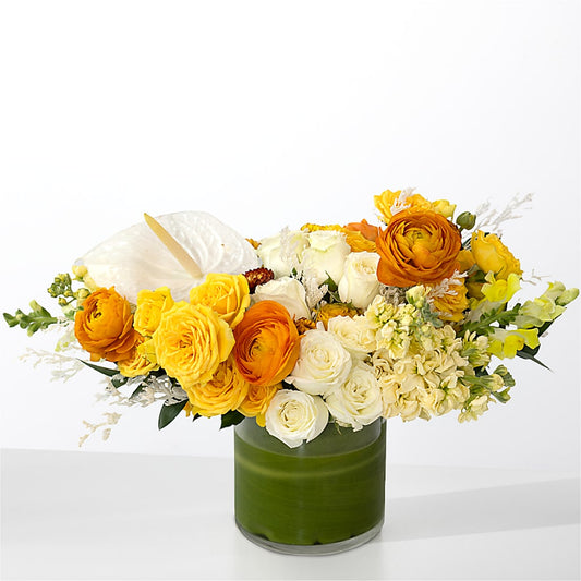 The Optimist –  Royalty Flowers, Alexandria VA