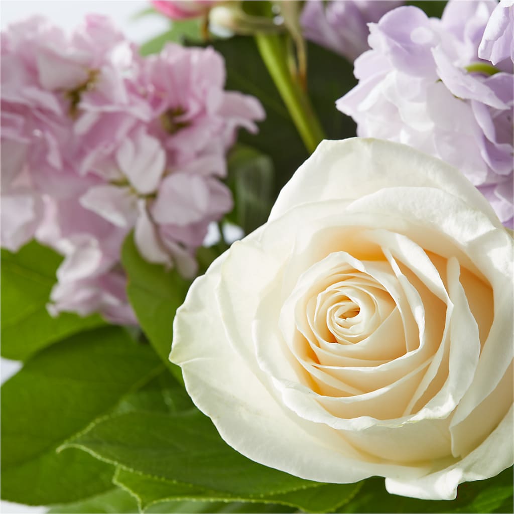 Springtime Spritz Bouquet –  Royalty Flowers, Alexandria VA
