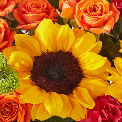 Sun-drenched Blooms Box Bouquet –  Royalty Flowers, Alexandria VA