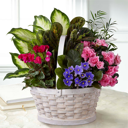 Peaceful Garden Planter –  Royalty Flowers, Alexandria VA