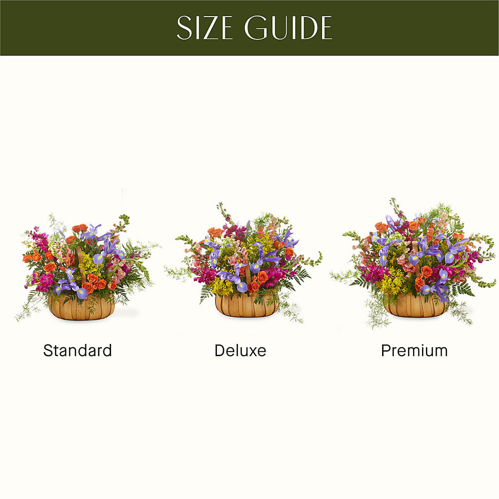 Garden of Life Basket –  Royalty Flowers, Alexandria VA
