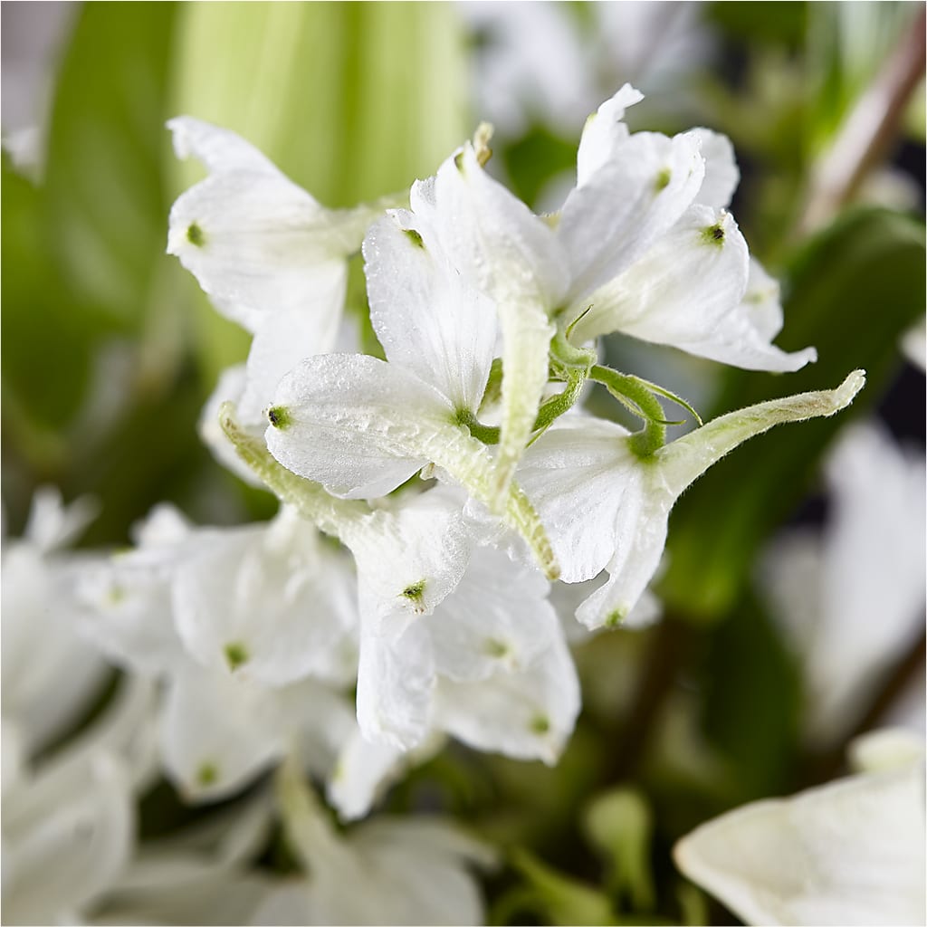 Classic Ivory – A Florist Original –  Royalty Flowers, Alexandria VA
