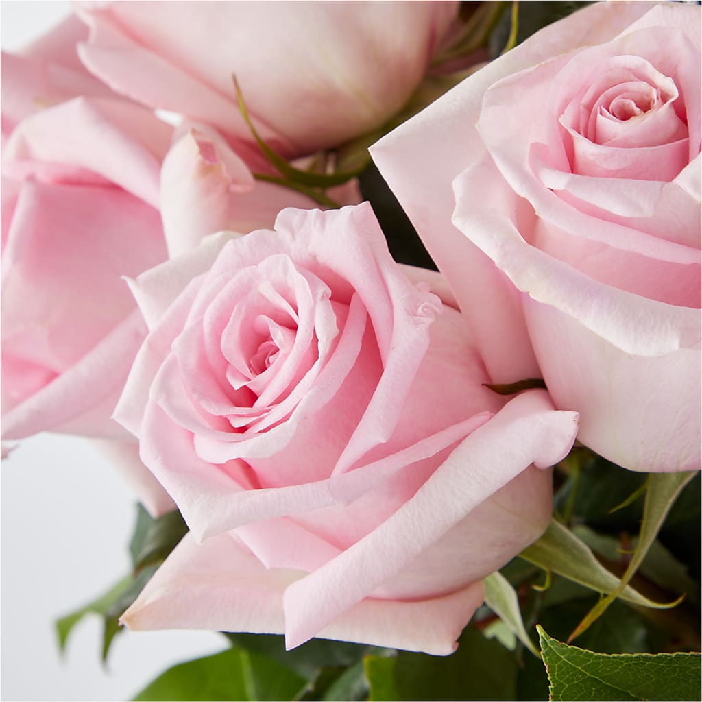 Picture Perfect Pink Rose Bouquet –  Royalty Flowers, Alexandria VA