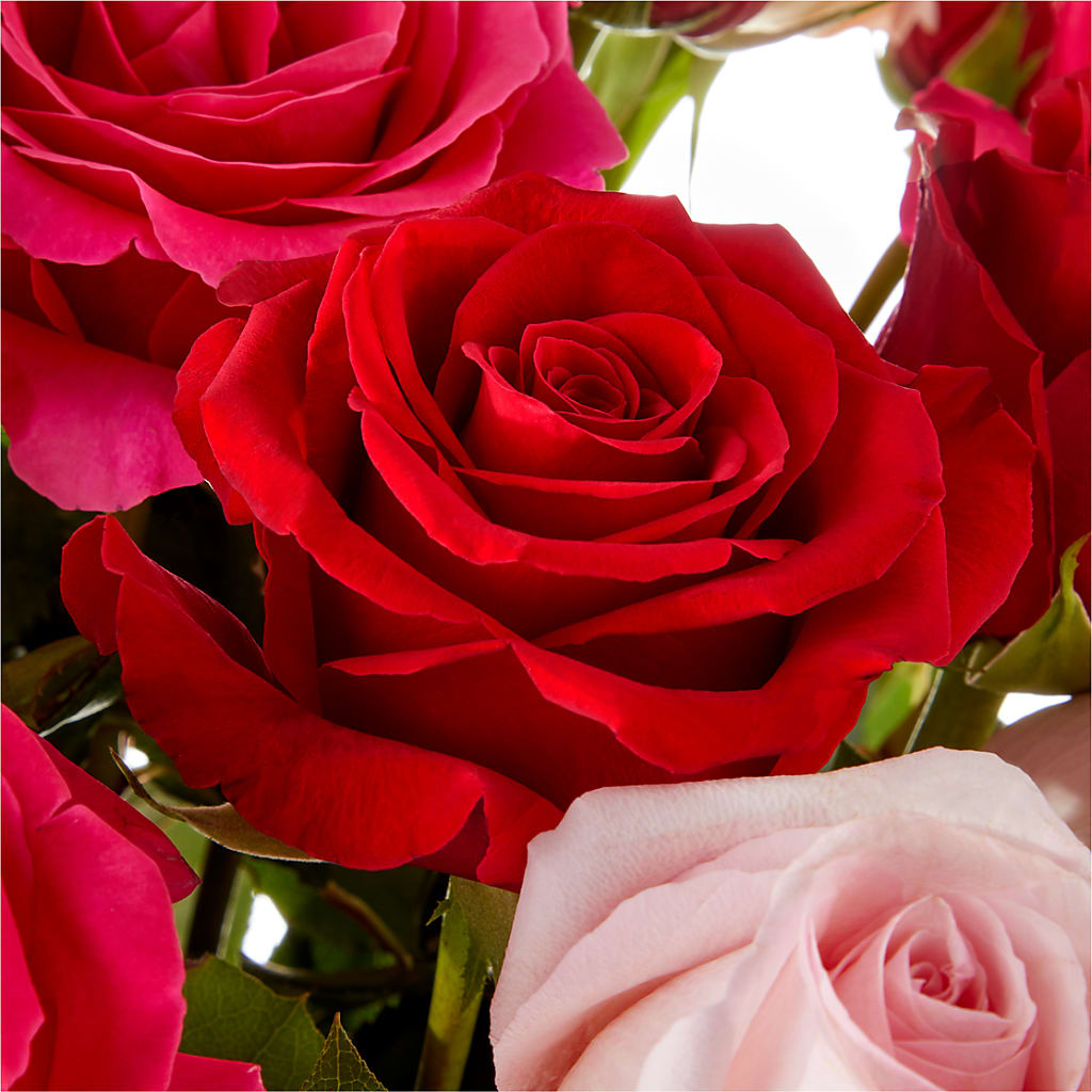 Love Notes Rose Bouquet –  Royalty Flowers, Alexandria VA