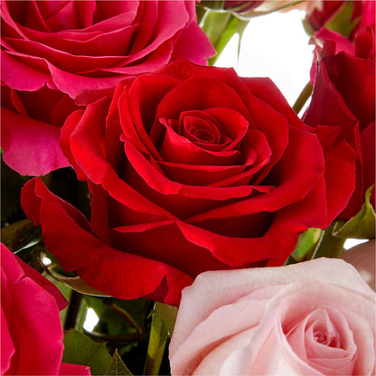 Love Notes Rose Bouquet –  Royalty Flowers, Alexandria VA