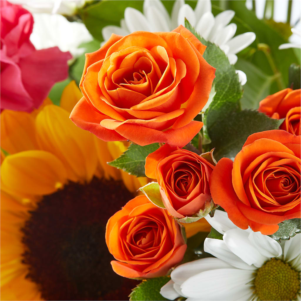Sun-drenched Blooms Bouquet –  Royalty Flowers, Alexandria VA