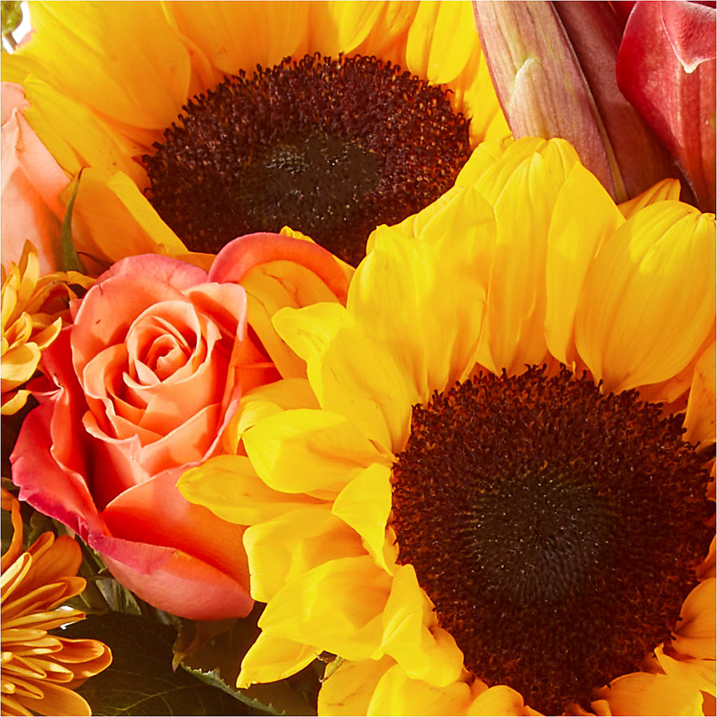 Acorn Lane Bouquet –  Royalty Flowers, Alexandria VA