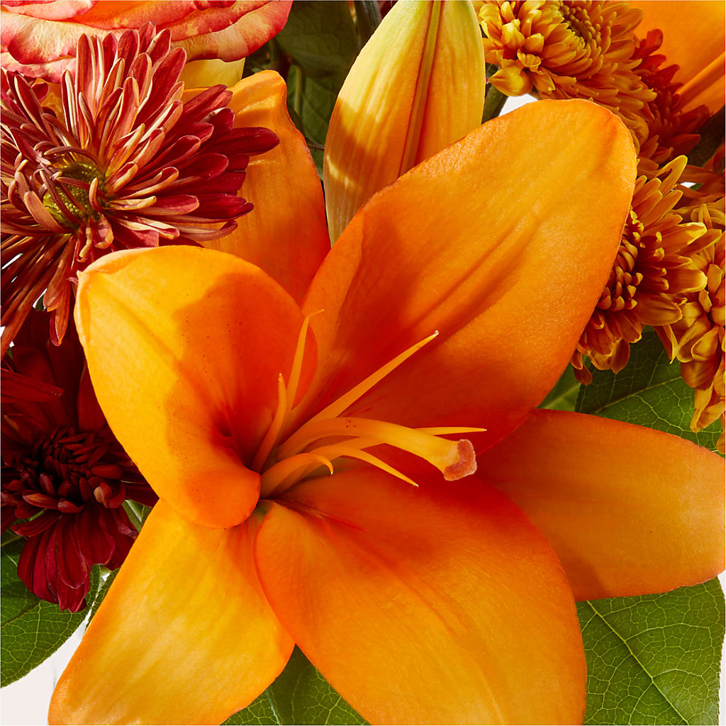 Autumnal Aroma Bouquet –  Royalty Flowers, Alexandria VA