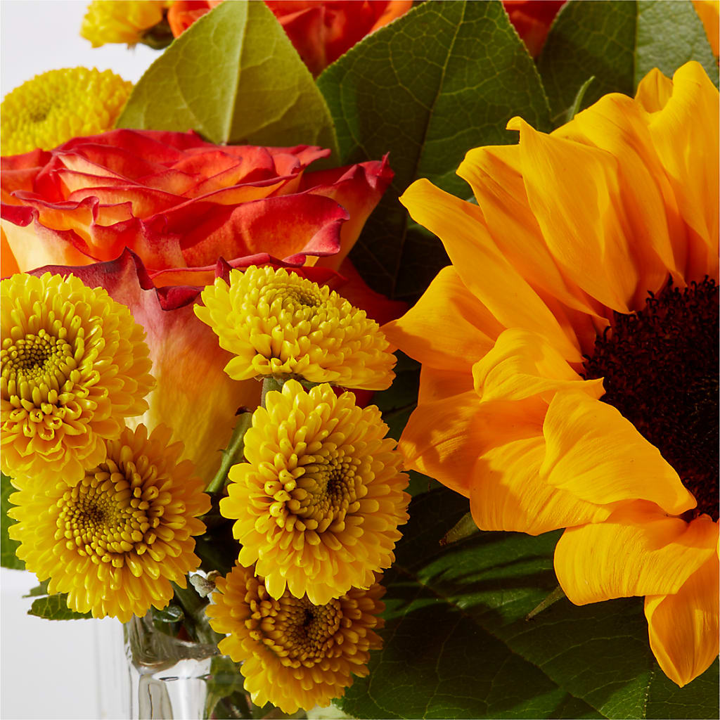 Picnic in the Park Bouquet –  Royalty Flowers, Alexandria VA
