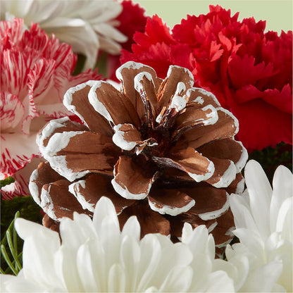 Candy Cane Lane Bouquet –  Royalty Flowers, Alexandria VA
