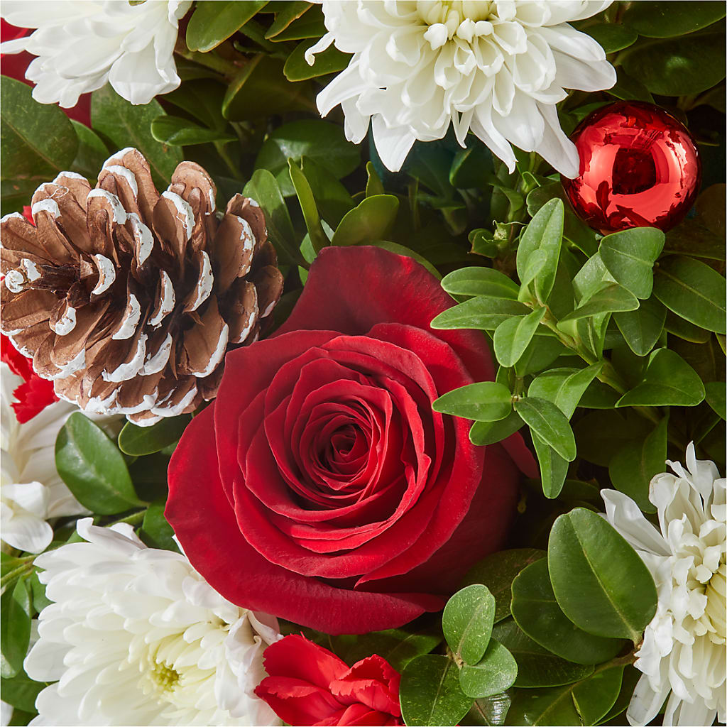 Let It Snow Tree –  Royalty Flowers, Alexandria VA
