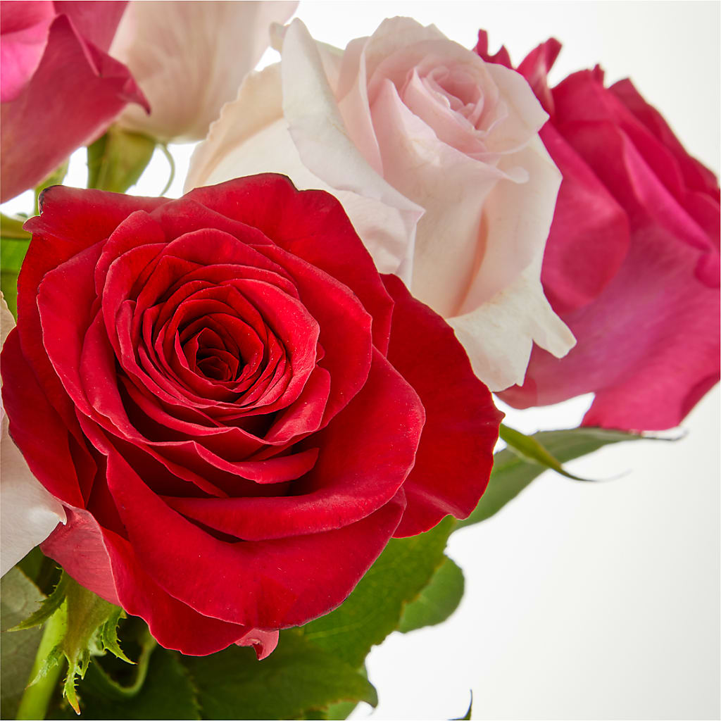 Charming Rose Bouquet –  Royalty Flowers, Alexandria VA