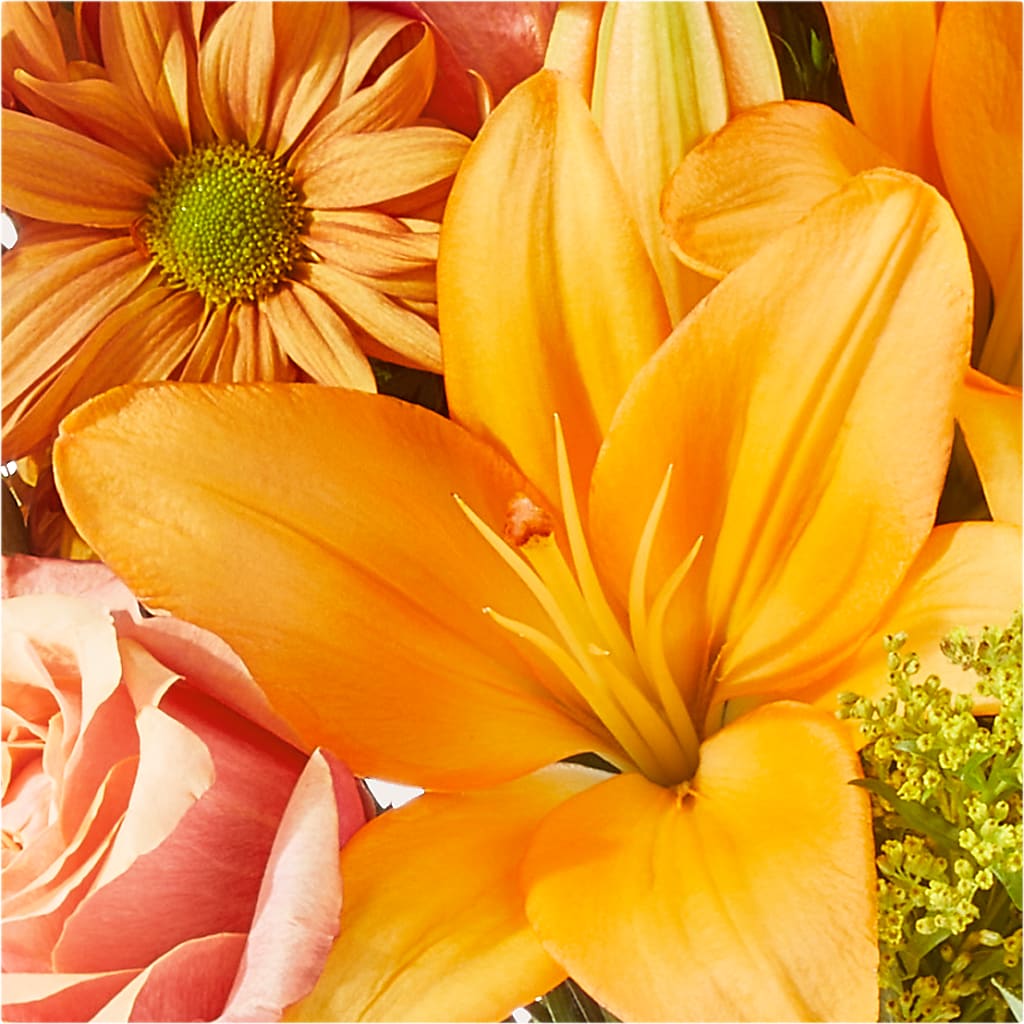 Harvest Hayride Bouquet –  Royalty Flowers, Alexandria VA