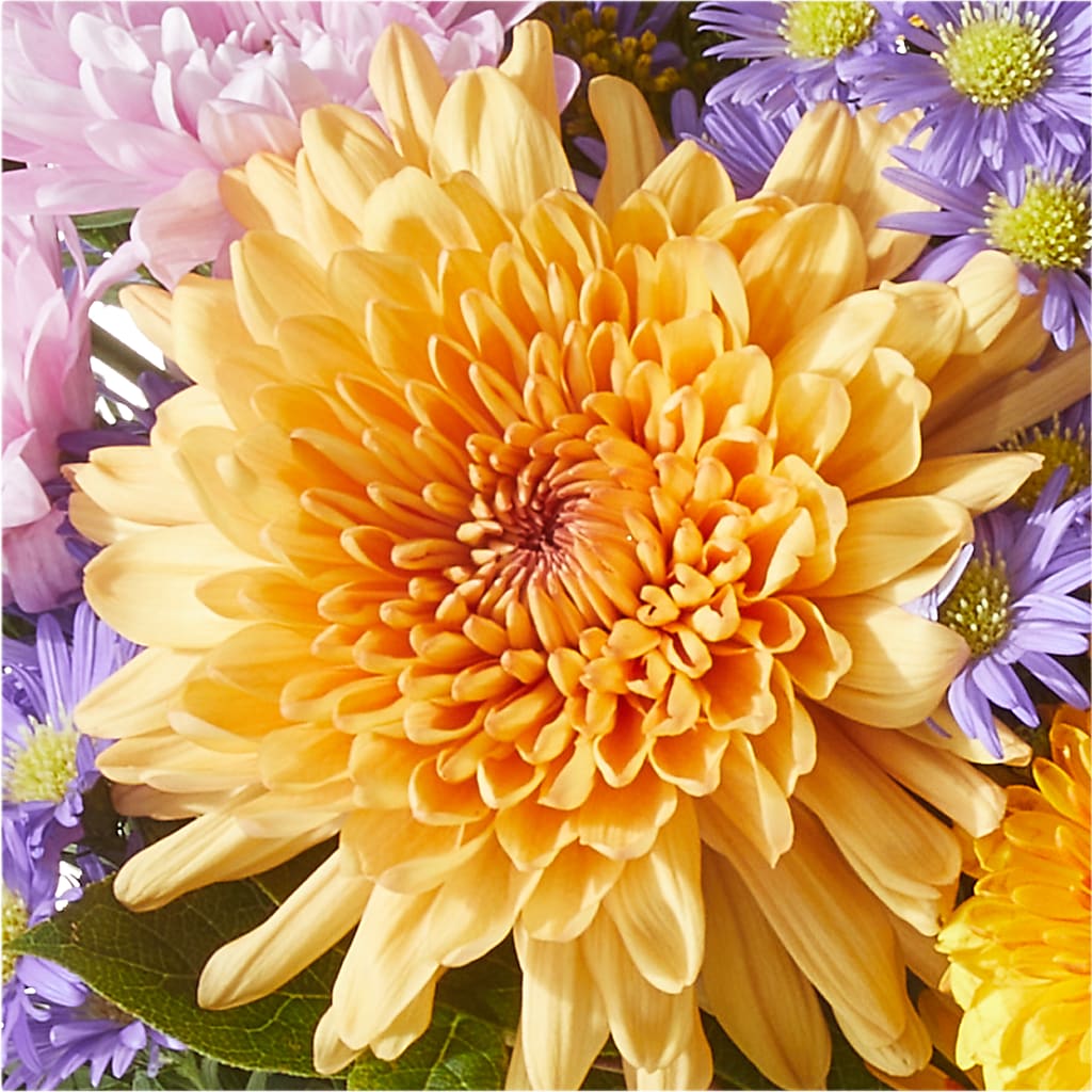 Countryside Bouquet –  Royalty Flowers, Alexandria VA