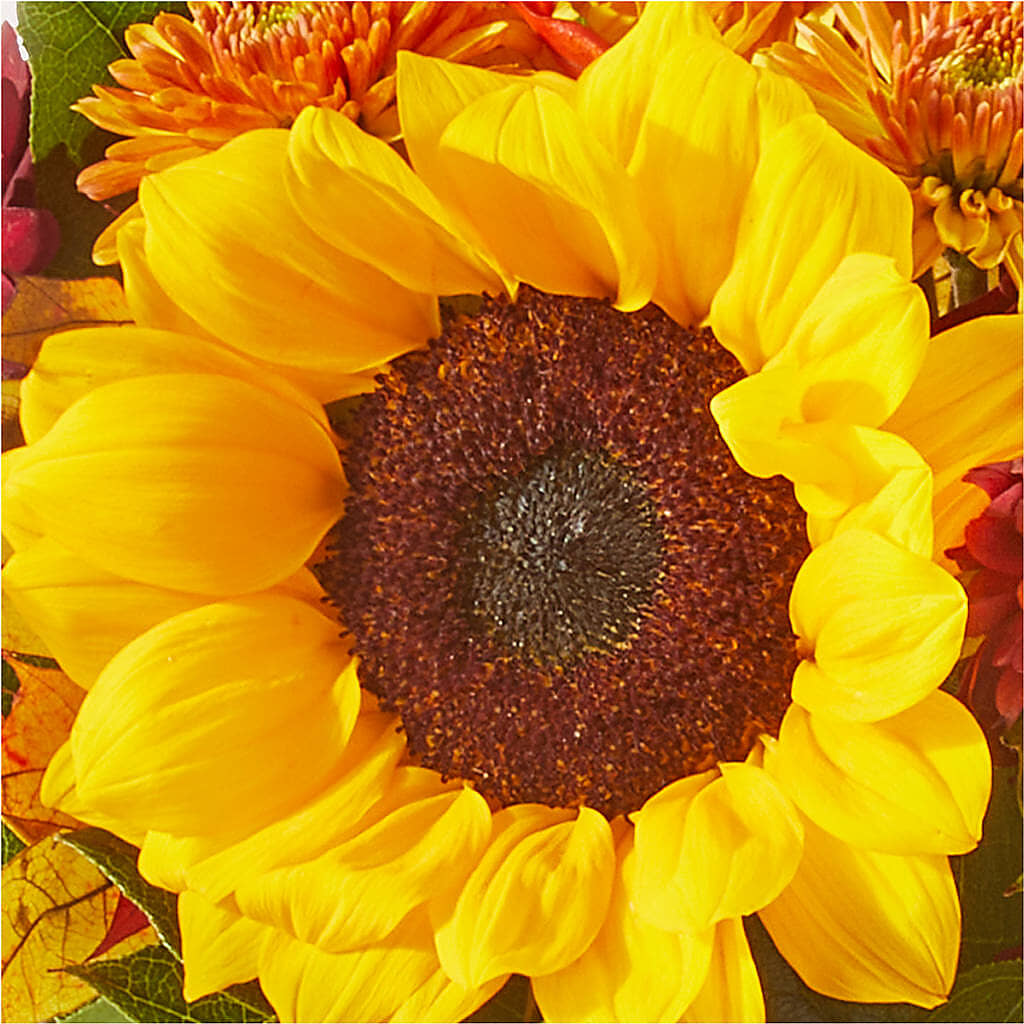 Sunny Side Bouquet –  Royalty Flowers, Alexandria VA
