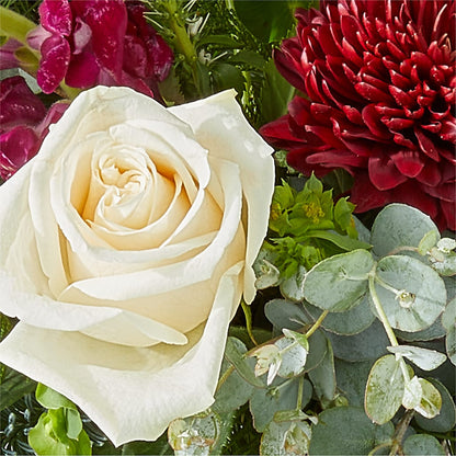 Cranberry Fizz Bouquet –  Royalty Flowers, Alexandria VA
