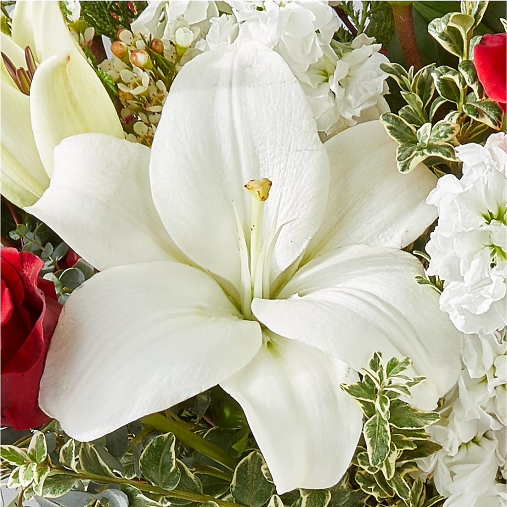 Twinkle Lights Bouquet –  Royalty Flowers, Alexandria VA