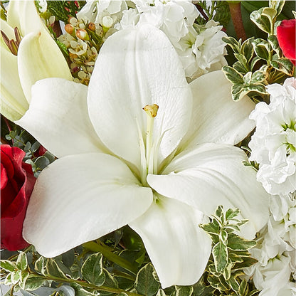 Twinkle Lights Bouquet –  Royalty Flowers, Alexandria VA